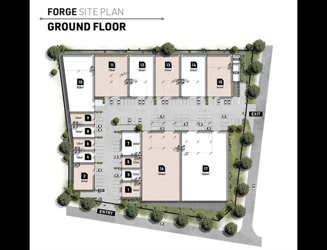 325M² BUSINESS CENTRE TO LET IN BALLITO DISTRICT